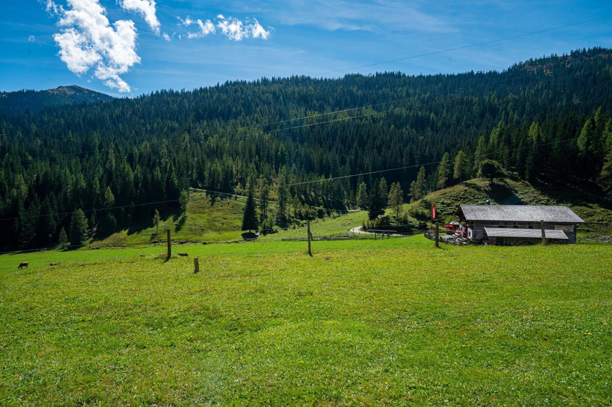 Mittereggalm Otel Mühlbach am Hochkönig Dış mekan fotoğraf