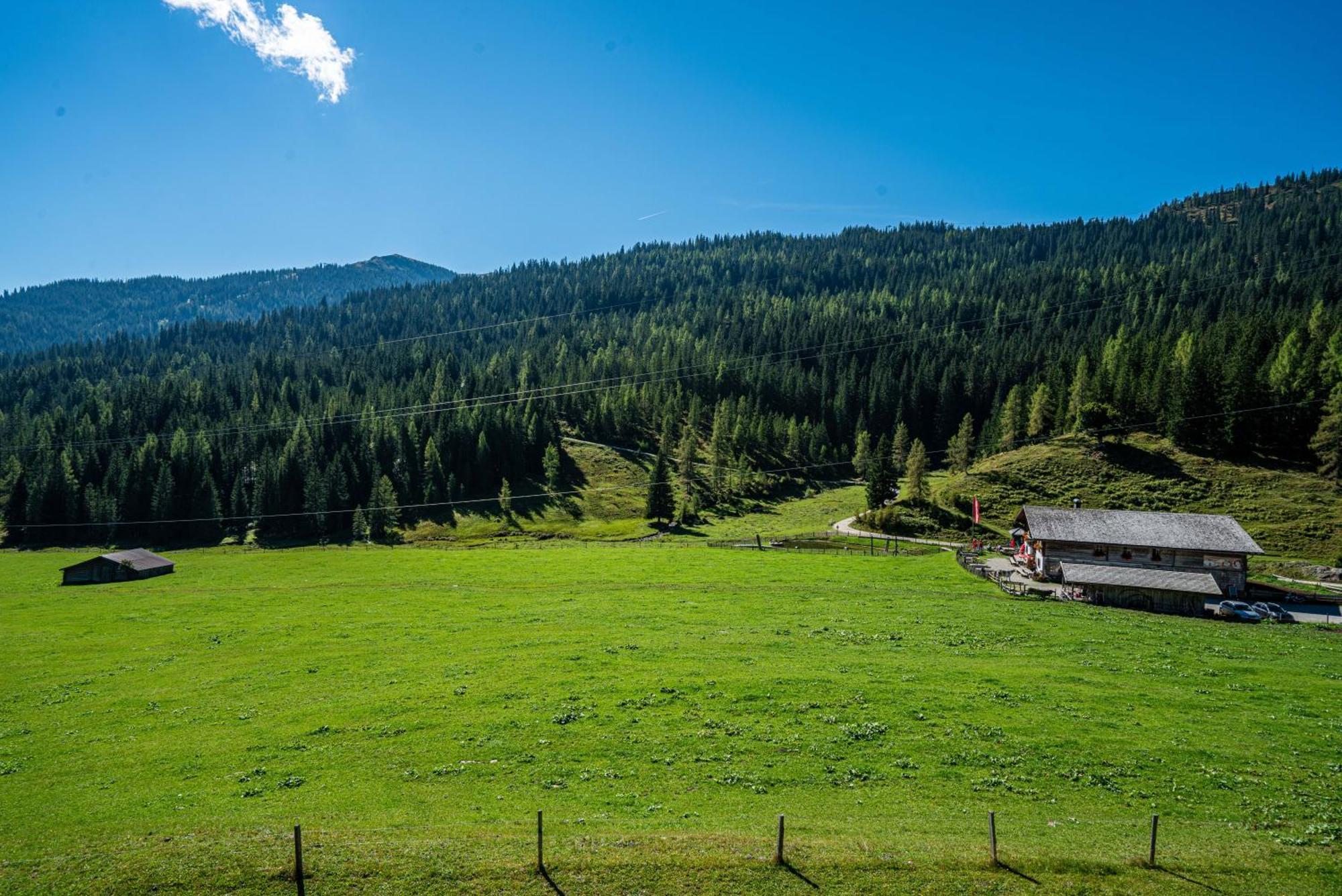 Mittereggalm Otel Mühlbach am Hochkönig Dış mekan fotoğraf