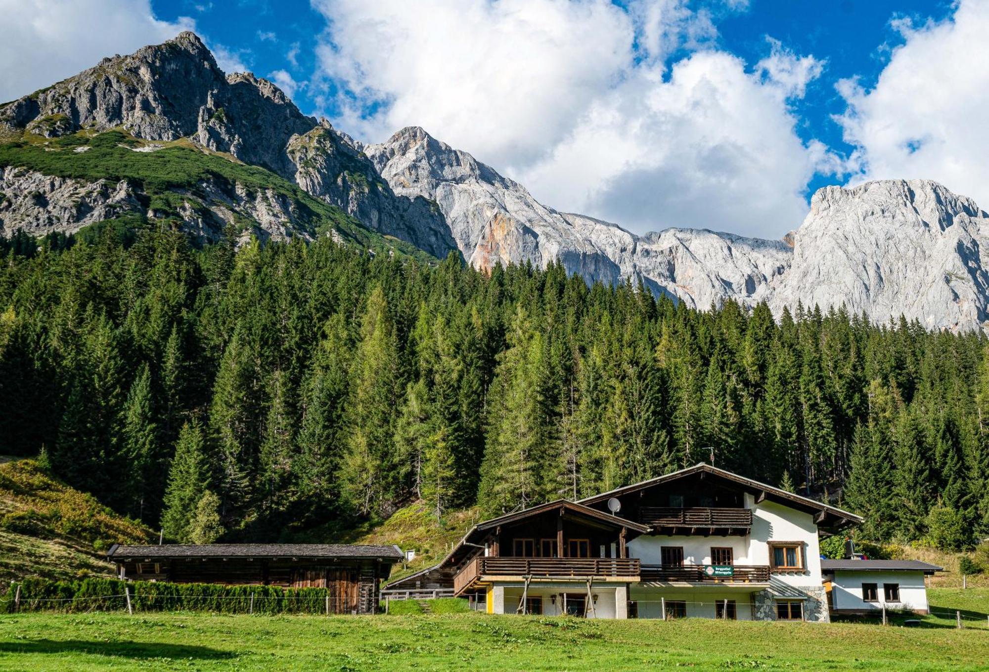 Mittereggalm Otel Mühlbach am Hochkönig Dış mekan fotoğraf